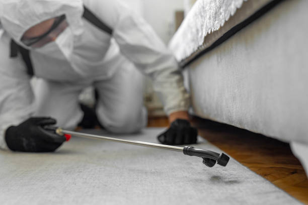Professional Bed Bug Control technician working in North Arlington, NJ