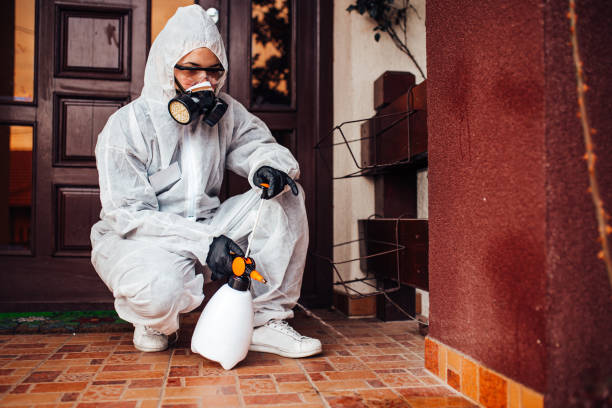Reliable Bed Bug Control contractor in North Arlington, NJ by Nex Pest Control