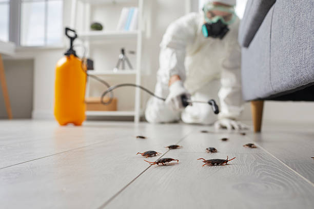 Trusted Emergency Pest Control service in North Arlington, NJ - Nex Pest Control