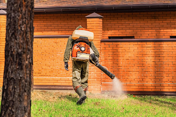 Trusted Bed Bug Control service in North Arlington, NJ - Nex Pest Control